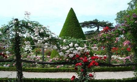 عکسهای زیباترین باغ های دنیا
