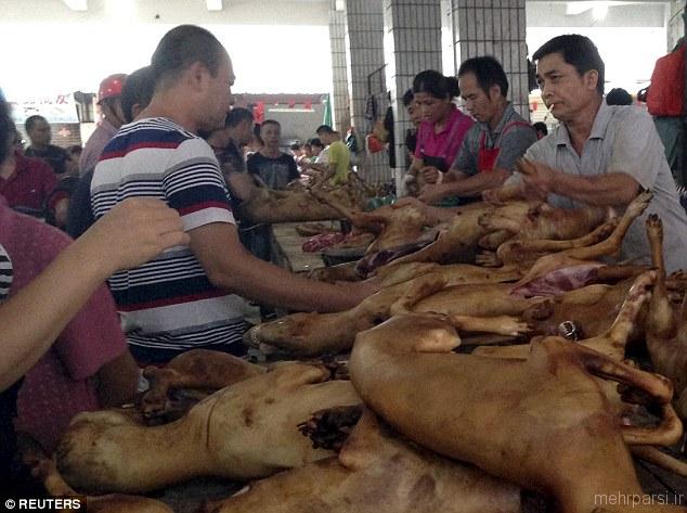 عکسهای سگ کشی و خوردن سگ در چین