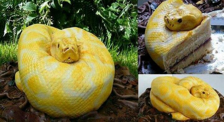 عجیب ترین و باورنکردنی ترین کیک های دنیا