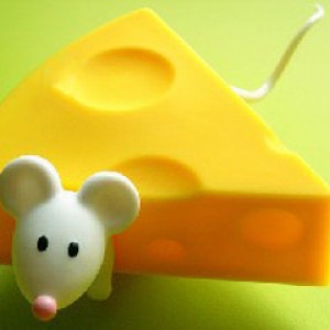 طالع بینی انواع پنیر و شخصیت مربوط به آن