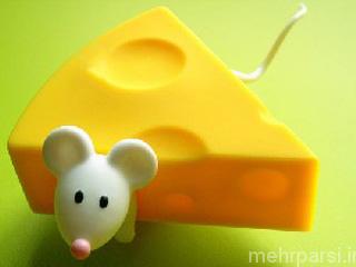 طالع بینی پنیر و ارتباط شخصیت