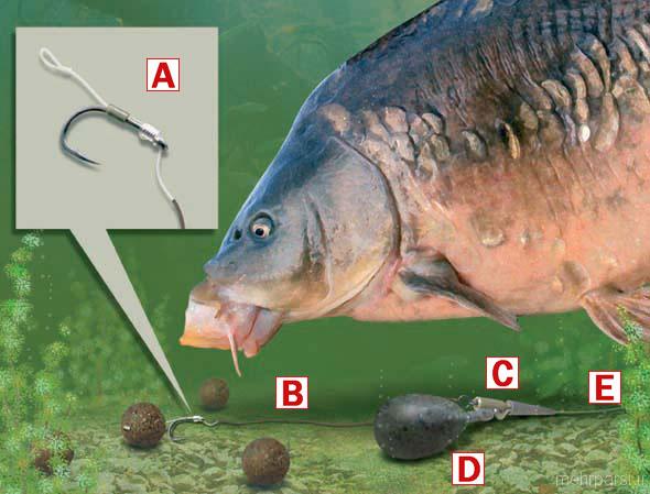 آموزش ماهیگیری بخش دوم