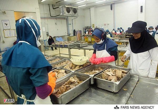 عکسهایی از کارخانه تولید تن ماهی